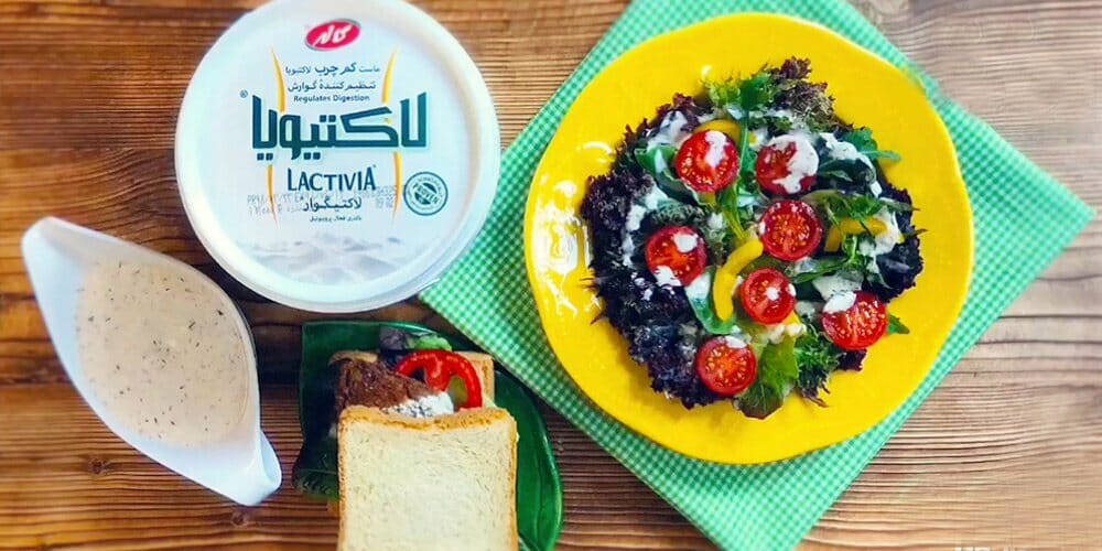 طرز تهیه سس رژیمی پروبیوتیک